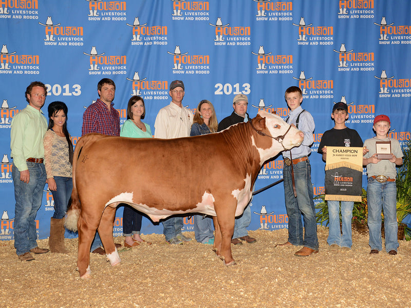 Champion Hereford // 2013 Houston Livestock Show // Allan Family