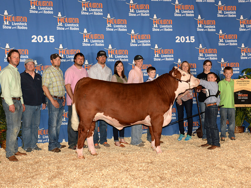 Champion Polled Hereford // 2015 Houston Livestock Show // Drager Family