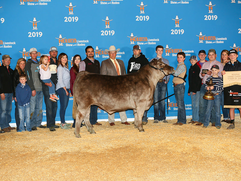 Reserve Grand Champion // 2019 Houston Livestock Show // Ethan Drager