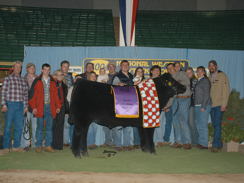 Grand Champion Steer // 2004 National Western // Drager Family