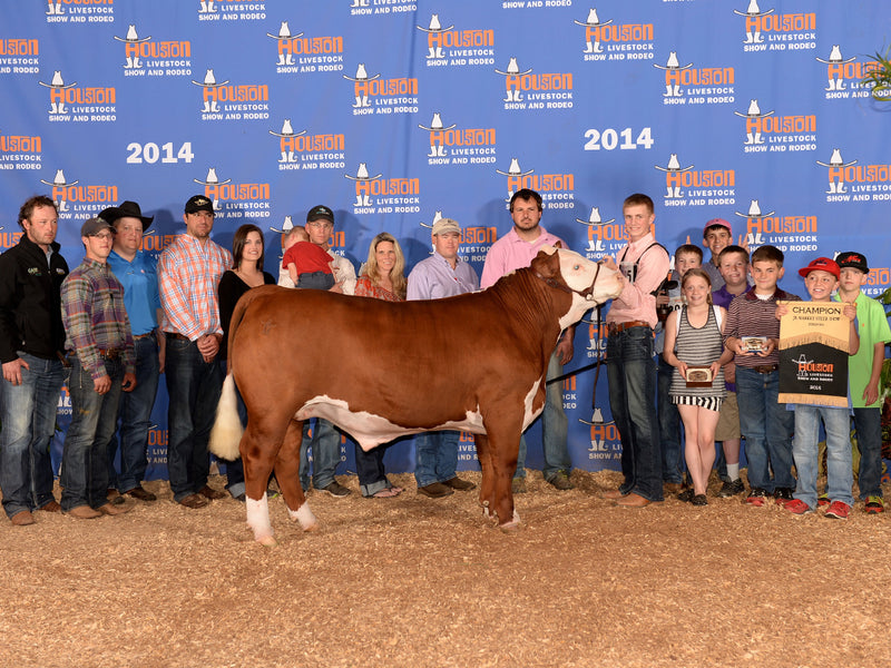Champion Hereford // 2014 Houston Stock Show // Allan Family