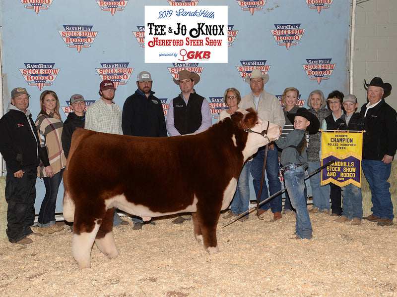 Reserve Polled Hereford // 2019 Sandhills Stock Show // Stone Family
