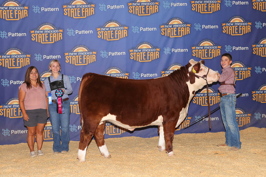 Champion Hereford // 2022 New Mexico State Fair // Sam Fodge